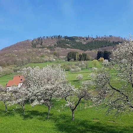 Im Elsass In By Interhome * Breitenbach